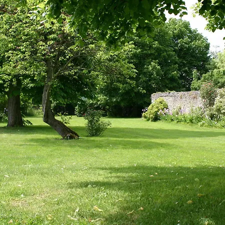 L'aunette